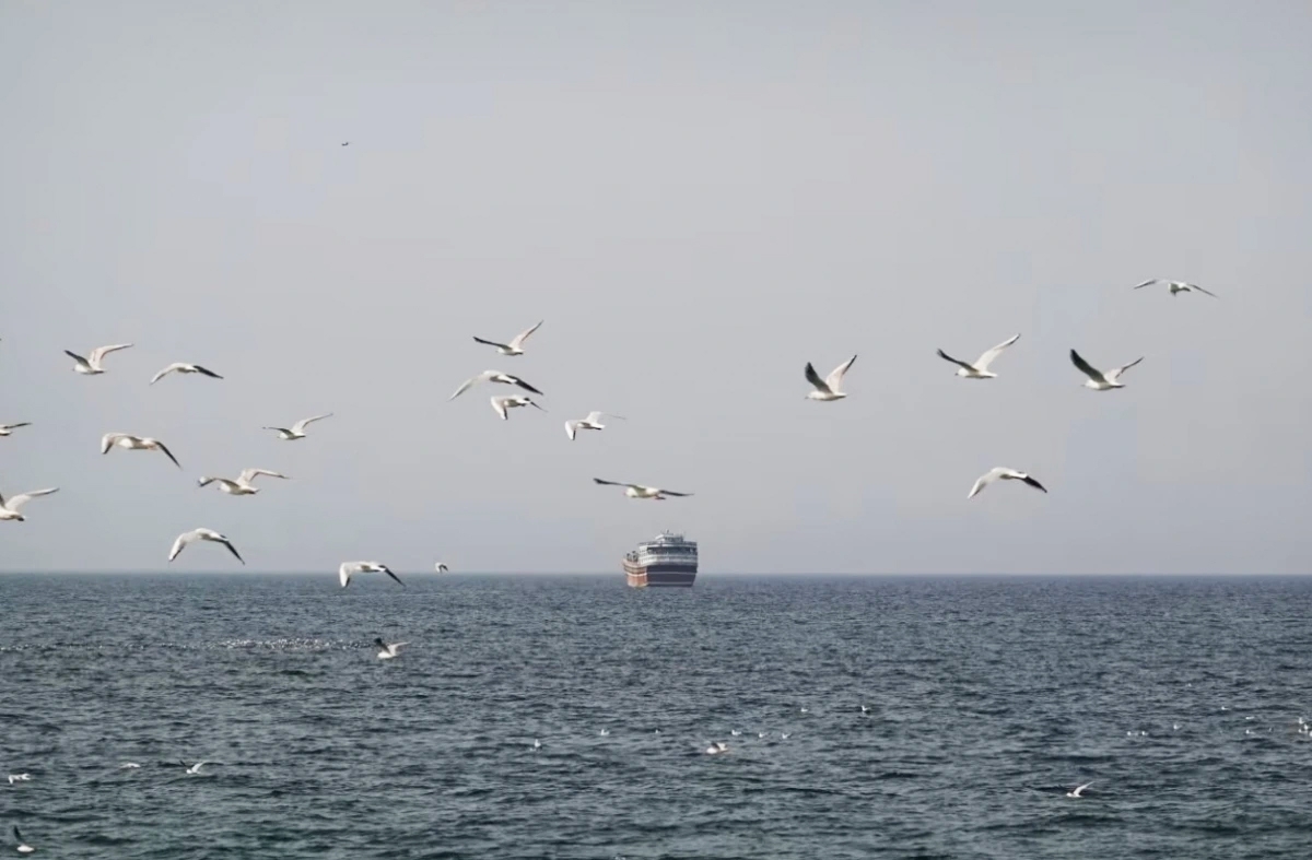 Xung đột Iran đe dọa chuỗi cung ứng lương thực tại vùng Vịnh